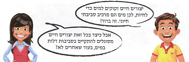 (בספר איור:)